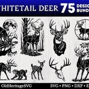 Op de afbeelding: Een verzameling van 75 ontwerpen van witstaartherten in zwart en wit. De ontwerpen omvatten silhouetten van herten in verschillende poses, zoals drinken uit een beek, staan in een bos en in een vizier. De afbeelding bevat ook de tekst "OldHeritageSVG".