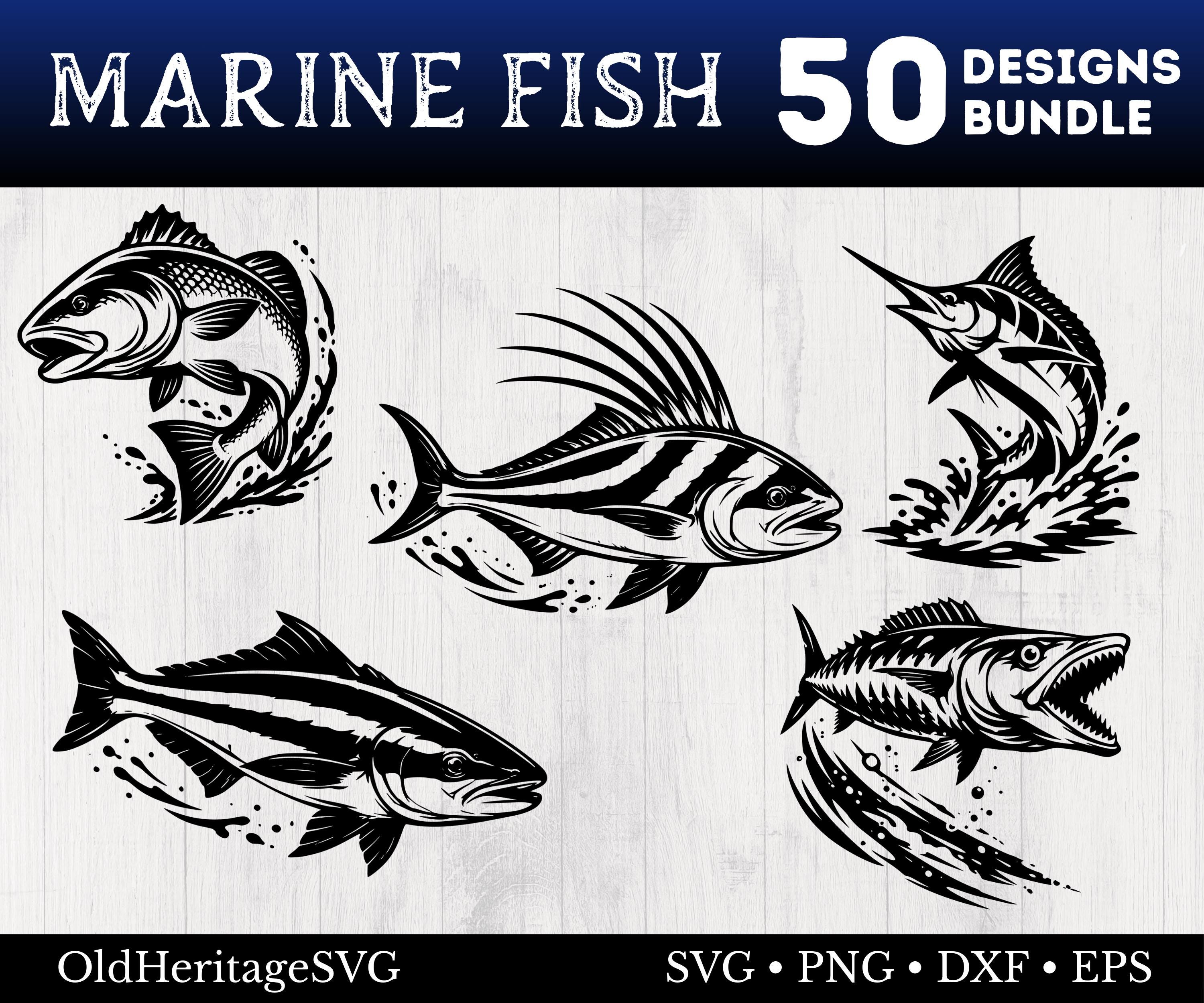 Marine Fish Svg Bundle, 50 Saltwater Fishing Cut Files, Ocean Png ...