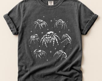 Camiseta Aranha Saltadora, Camiseta Comfort Colors Aranha Celestial, Estampa de Aranha Vintage Desgastada, Presente para Amantes da Natureza Gótica
