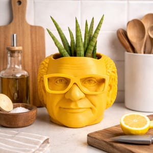 May include: A yellow planter shaped like a man's head with glasses, holding a green plant. The planter is on a white surface, with a cutting board, olive oil, and a lemon in the background.