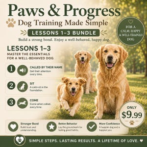 May include: An advertisement for dog training lessons. The image features three golden retrievers in a grassy outdoor setting. Text includes "Paws & Progress" and "Dog Training Made Simple." The lessons cover calling by name, sit, and come.