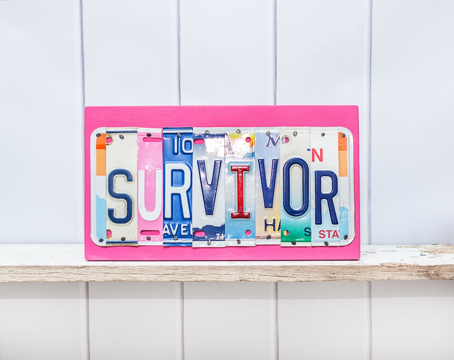Survivor Of The Shield License Plate