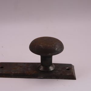 Antique metal door knob with back plate