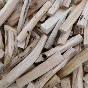 Può includere: Primo piano di un mucchio di bastoncini di legno di Palo Santo di colore chiaro. I bastoncini variano per dimensioni e forma, con venature del legno visibili e imperfezioni naturali. Alcuni bastoncini presentano striature marrone scuro.