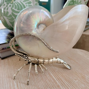 Könnte beinhalten: Eine dekorative Nautilus-Muschelschale mit irisierendem, perlmuttartigem Finish. Die Muschel ruht auf einem detaillierten, silberfarbenen Metallsockel in Form eines Krustentiers, komplett mit beweglichen Beinen und einem strukturierten, segmentierten Schwanz.