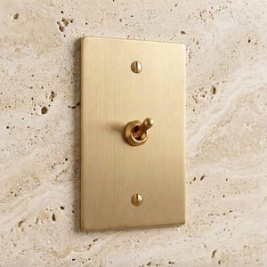 May include: A rectangular light switch plate with a brushed gold finish and a central toggle switch. The plate is secured by two flat-head screws, one positioned above and one below the toggle switch, creating a clean and functional design.