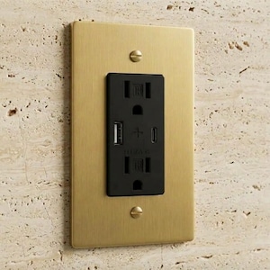1-Gang Satin Brass With Black module USB/ Type C Duplex Receptacle Outlet
