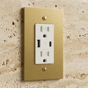 1-Gang Satin Brass With White module USB/ Type C Duplex Receptacle Outlet