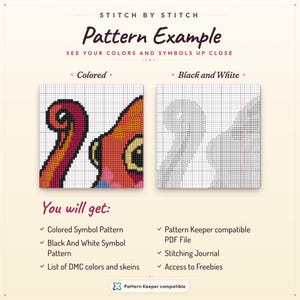 May include: An example cross-stitch pattern with the text "Pattern Example." The image displays a coloured and a black and white version of a design. The text "You will get:" is followed by a list of included items, such as a coloured symbol pattern and a PDF file.