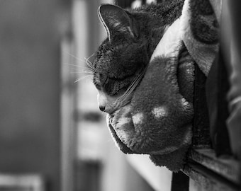 Fotografia di strada di Istanbul, download digitale, foto urbana, immagine ad alta risoluzione