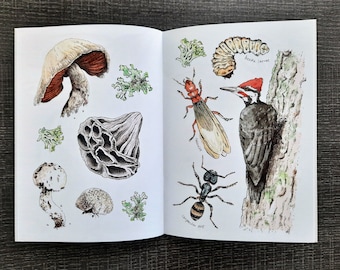 Nature Sketchbook Zine