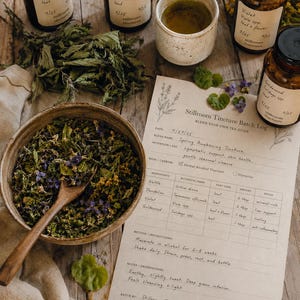 May include: A rustic still life featuring herbal ingredients for tea. Jars labeled with botanical names like Nettle and Dandelion sit near a bowl of herbs, a wooden spoon, and a batch log. A cup of tea and fresh leaves complete the scene.