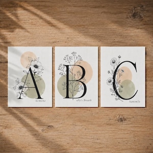 Könnte beinhalten: Drei botanische Kunstdrucke mit den Buchstaben A, B und C. Jeder Buchstabe ist mit floralen Illustrationen verziert und vor einem Hintergrund aus weichen, gedämpften Kreisen platziert. Die Wörter "nemone", "aby's Breath" und "hamomile" sind darunter geschrieben.
