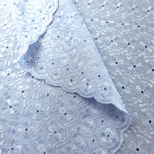 May include: Close-up of light blue eyelet fabric with a scalloped edge. The fabric features intricate floral and geometric embroidery with small, evenly spaced cut-out details. The fabric is folded over, revealing the detailed pattern.
