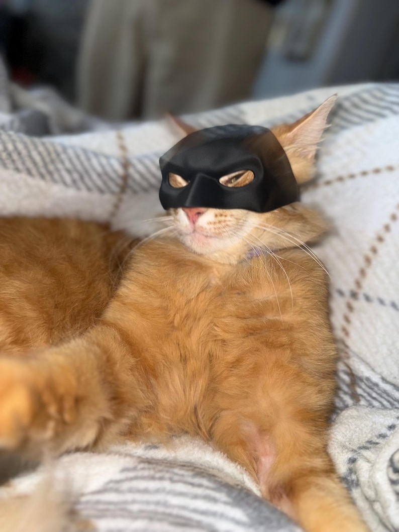 Op de afbeelding: Een oranje kat met een zwart superheldenmasker. De kat ligt op een deken met een ruitpatroon. Het masker bedekt de ogen en de neus van de kat.