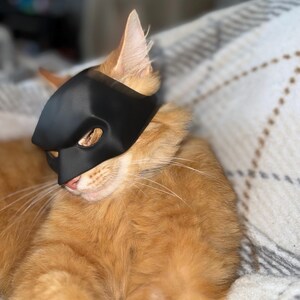 Op de afbeelding: Een oranje tabby kat met een zwart masker, rustend op een patroon deken. Het masker bedekt de ogen en neus van de kat, waardoor een superheld-achtig uiterlijk ontstaat. De vacht van de kat is een warme, roodachtig-oranje kleur.
