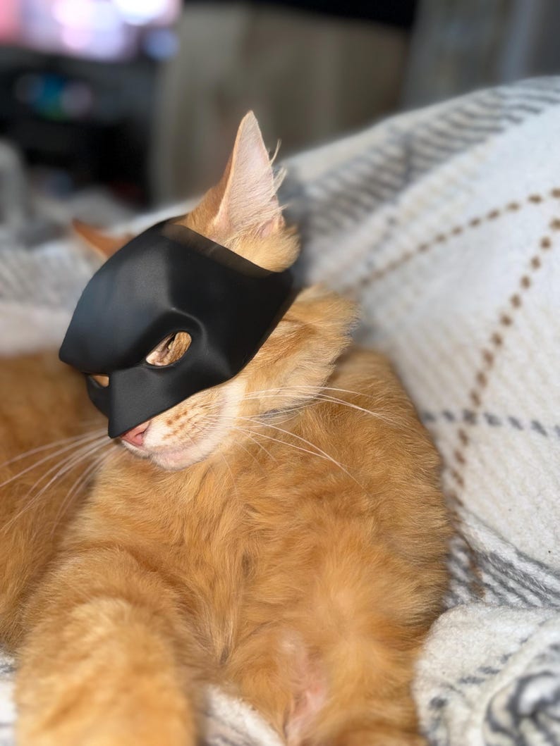 Op de afbeelding: Een oranje tabby kat met een zwart masker, rustend op een patroon deken. Het masker bedekt de ogen en neus van de kat, waardoor een superheld-achtig uiterlijk ontstaat. De vacht van de kat is een warme, roodachtig-oranje kleur.