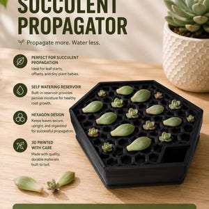 May include: A black hexagonal succulent propagator with a self-watering reservoir, designed for leaf starts and offsets. The text reads "SELF WATERING SUCCULENT PROPAGATOR" and "GROW MORE. WATER LESS."