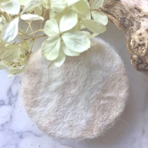 the Purist, Unscented Loofah Soap