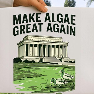 Make Algae Again PNG | Environmental Parody Duck Pond Graphic (Transparent Background)
