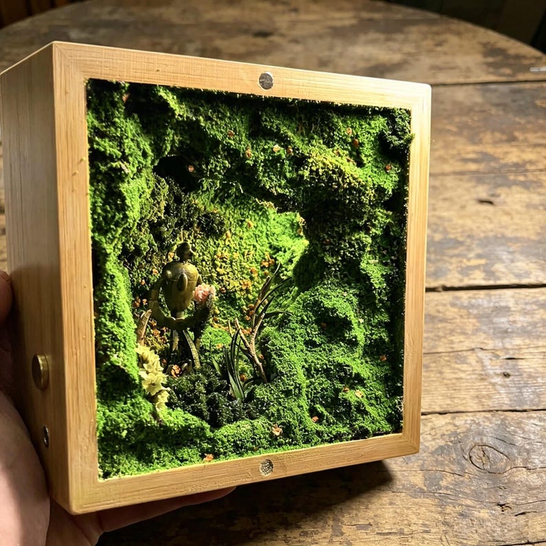May include: A square wooden box with a miniature moss garden inside. The garden features vibrant green moss, small plants, and a tiny figurine. The box has a natural wood finish and is held by a hand.