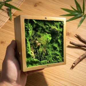 May include: A square wooden box with a vibrant green moss interior, featuring a small, golden figurine. The box has a natural wood finish and is held in a hand. The moss creates a miniature garden scene.