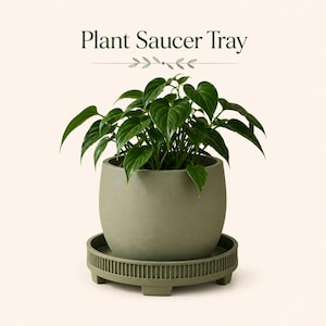 Pode incluir: Uma planta verde num vaso e num pires verde a condizer. O vaso tem uma forma arredondada e assenta numa bandeja decorativa com um design canelado. O texto "Plant Saucer Tray" está na parte superior da imagem.