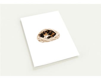 Pack of 10 Comfort Collection Tri-Colored Cat Greeting Cards