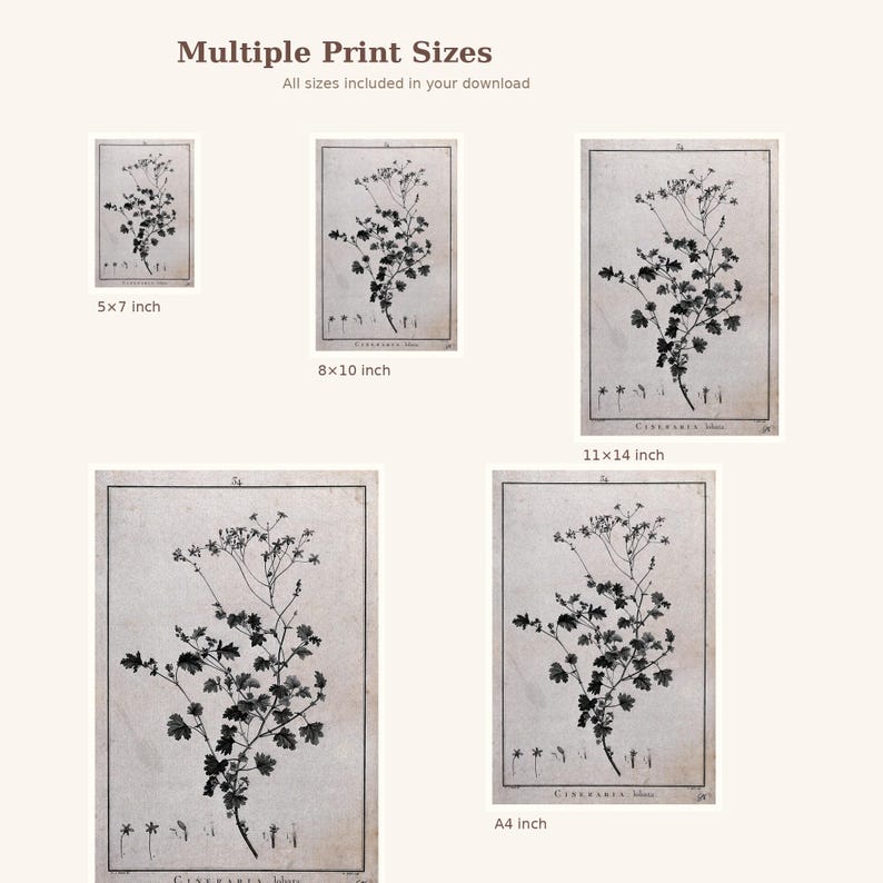 May include: Botanical art prints in various sizes, including 5x7 inch, 8x10 inch, 11x14 inch, and A4 inch. Each print features a detailed black and white illustration of a flowering plant on a vintage-style paper background. The text "Multiple Print Sizes" is at the top.