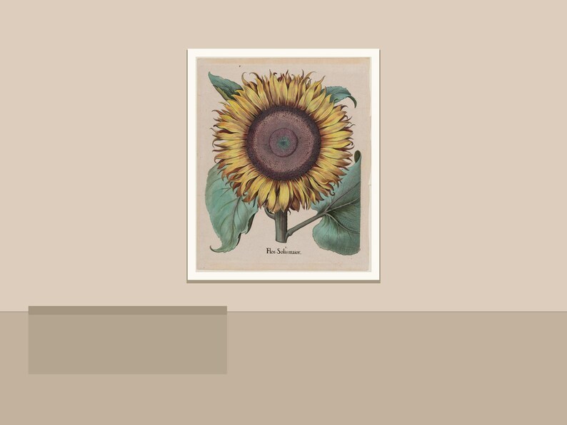 May include: A framed botanical print of a sunflower. The sunflower has yellow petals, a dark brown center, and green leaves. The print is in a white frame and is set against a neutral background.