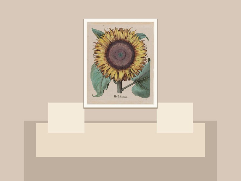 May include: A framed botanical print featuring a detailed illustration of a sunflower. The sunflower has yellow petals, a dark brown center, and green leaves. The print is set against a neutral background, creating a vintage aesthetic.