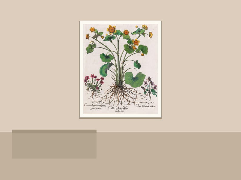 May include: Botanical illustration of various plants with roots, leaves, and flowers. The artwork features a central plant with yellow flowers, green leaves, and a network of roots. Additional plants with red and purple flowers are also depicted.