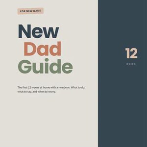 May include: A book cover with the title "New Dad Guide" in navy, coral, and green. The text "For New Dads" is above the title. The cover also includes the text "The first 12 weeks at home with a newborn. What to do, what to say, and when to worry."