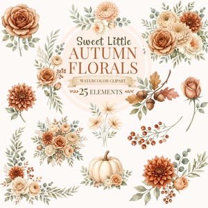 May include: A collection of watercolour illustrations featuring autumn-themed floral arrangements, individual roses, dahlias, a white pumpkin, acorns, and berries. The central text reads Sweet Little AUTUMN FLORALS WATERCOLOUR CLIPART 25 ELEMENTS.