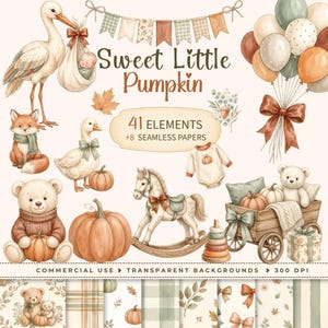 May include: A digital illustration set titled Sweet Little Pumpkin featuring 41 elements and 8 seamless papers. Includes a stork with a baby, a fox, a goose, a teddy bear with a pumpkin, a rocking horse, balloons, a wagon, and autumn patterns.