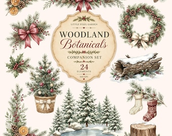 May include: A digital collection of woodland botanical illustrations featuring pine branches, pinecones, berries, dried orange slices, a wreath, a snowy log, a small Christmas tree in a basket, a frozen pond, and two stockings with text.