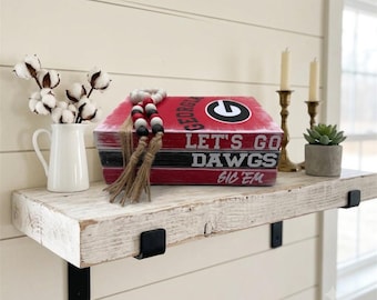 Georgia Bulldogs decorative book stack. Let's Go Dawgs