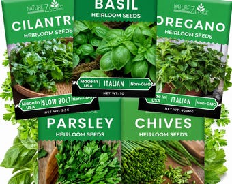 5 Herb Seeds Variety Kit – Oregano, Cilantro, Parsley, Basil & Chives