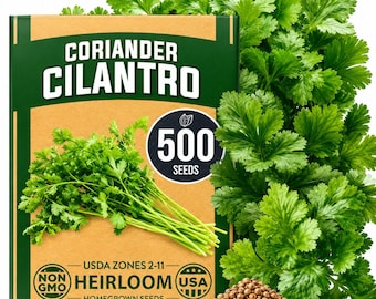 Semillas de cilantro cultivadas en casa, sin OMG, más de 500 variedades – Semillas de cilantro tradicionales para cultivo en interiores y exteriores.