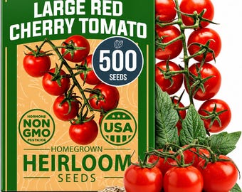 Semillas de tomate cherry rojo grande cultivadas en casa: más de 500 semillas tradicionales no transgénicas listas para plantar.