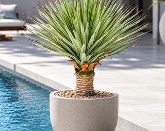 2ft Artificial Agave Plant | Large Faux Potted Plant for Indoor & Outdoor Decor