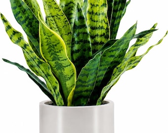 22" Artificial Snake Plant in Pot | Realistic Faux Indoor Home & Office Decor