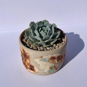 May include: A light green succulent plant potted in a cylindrical ceramic container. The pot features a textured, beige surface with patches of burnt orange and teal glaze. Small, smooth, light brown pebbles cover the soil around the plant.