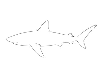 Shark Outline Svg, Shark Svg, Shark Clipart, Surfboard Cut File for Cricut Silhouette, Digital Download, Commercial Use