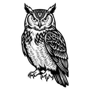 Könnte beinhalten: Detaillierte Schwarz-Weiß-Illustration einer Großen Ohreule. Die Eule wird in Frontalansicht dargestellt, mit scharfen Krallen und intensiven Augen. Das Kunstwerk zeigt komplizierte Federdetails und einen strengen Ausdruck, vor weißem Hintergrund.
