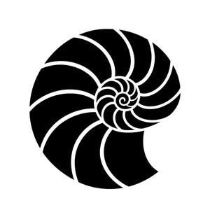 May include: A black and white graphic of a nautilus shell. The shell is shown in a spiral pattern with curved lines radiating from the centre. The design is simple and elegant, suitable for various applications.