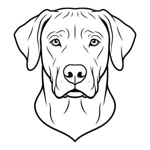 Könnte beinhalten: Schwarz-weiße Strichzeichnung eines Hundekopfes. Das Bild zeigt eine detaillierte Illustration des Gesichts des Hundes mit Schlappohren und einer markanten Nase. Das Kunstwerk ist eine einfache, aber elegante Illustration.