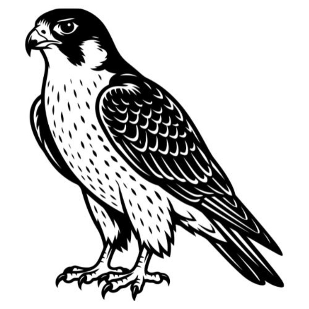 Falcons Vector File Falcon Profile Vector Cut File, Falcon Head Svg, Eagle Mascot, Falcons ...