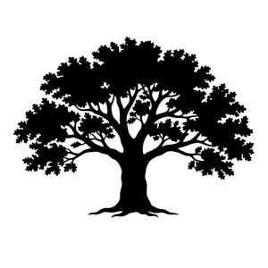 May include: A black silhouette of a large oak tree against a white background. The tree has a thick trunk, spreading branches, and dense foliage. The roots are visible at the base, and the overall shape is symmetrical.