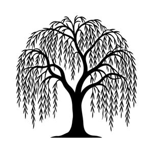 May include: A black silhouette of a weeping willow tree against a white background. The tree features a thick trunk, branching limbs, and long, cascading leaves. The design is simple and elegant.